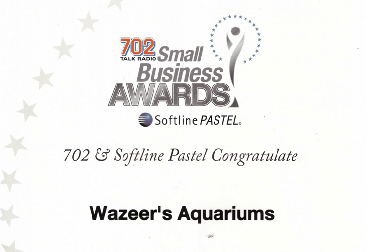 702 Small Business Award Finalist 