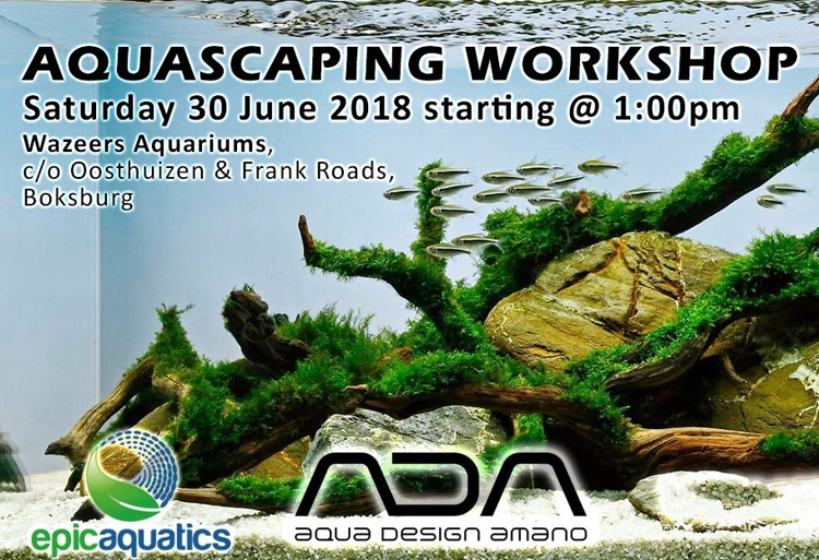Aqua Scaping Workshop (30 June 2018)