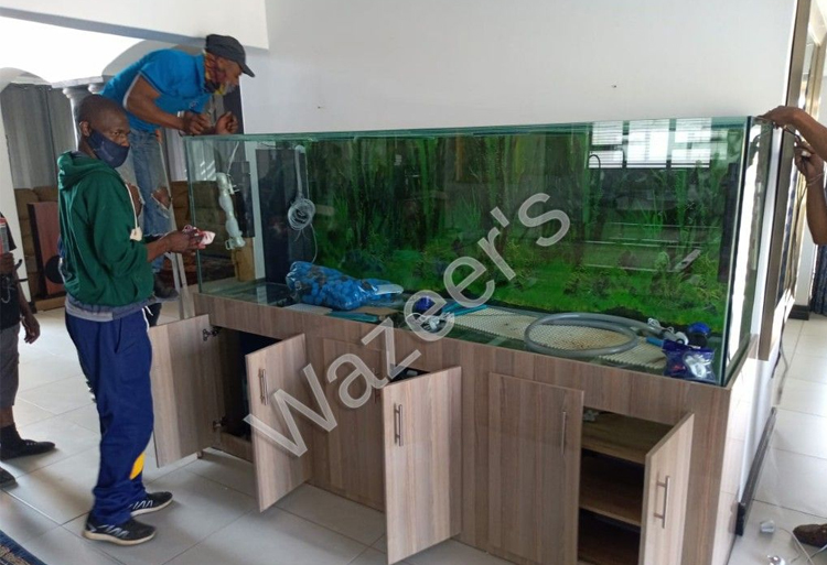 Recent Installations Of  Marine &amp; Planted Aquariums 