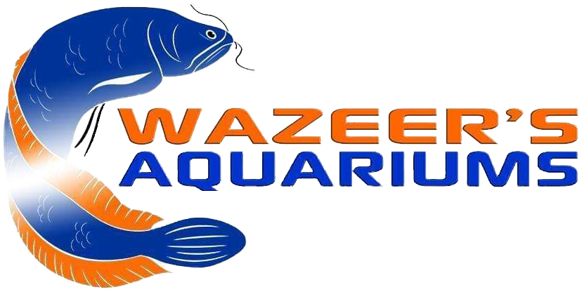 logo-full-png Login