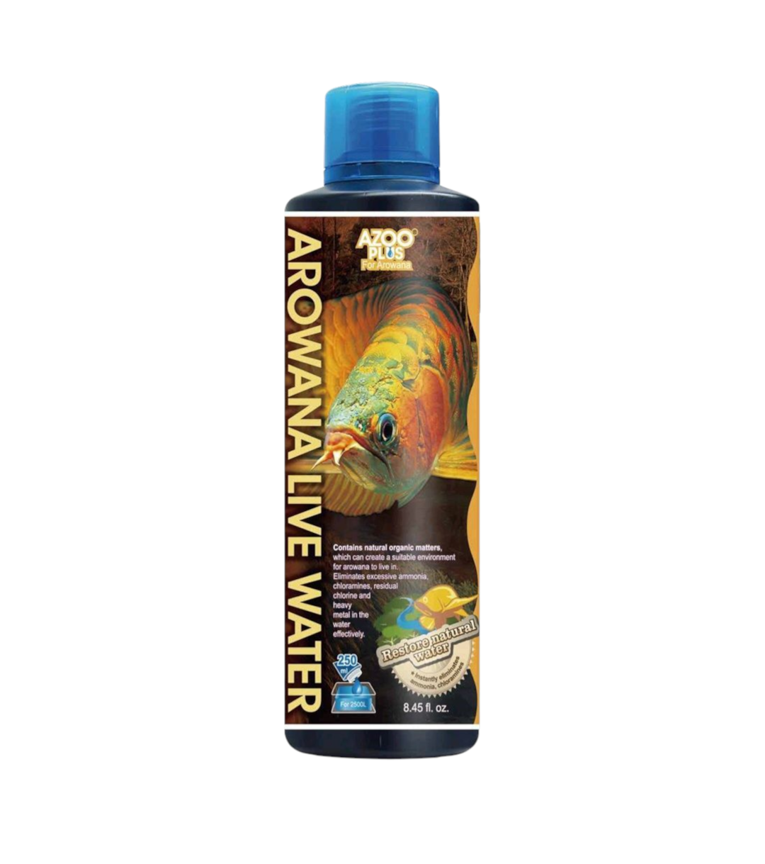 1000636473 Wazeers Aquariums - Home
